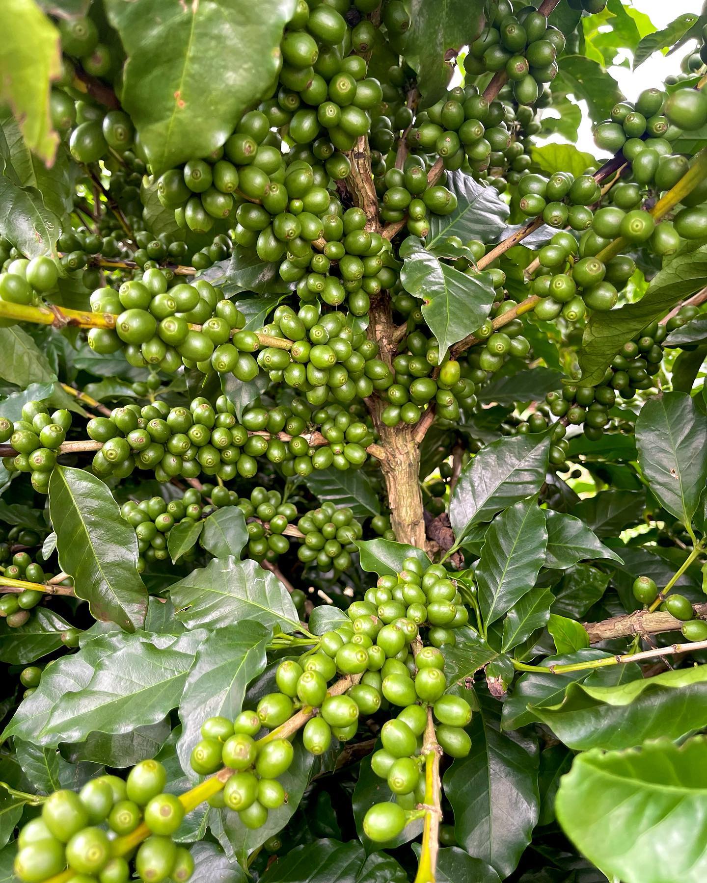 328146760_577812627562569_6176272530499562167_n